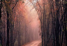 篮球队对抗赛成绩揭晓，实力测评结果出炉