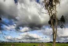 筹谋冠军梦，欧洲国家联赛四强紧张备战