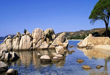 篮球队对抗赛成绩揭晓，实力测评结果出炉