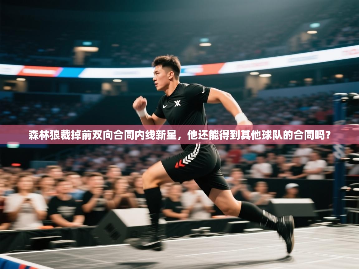 森林狼裁掉前双向合同内线新星，他还能得到其他球队的合同吗？