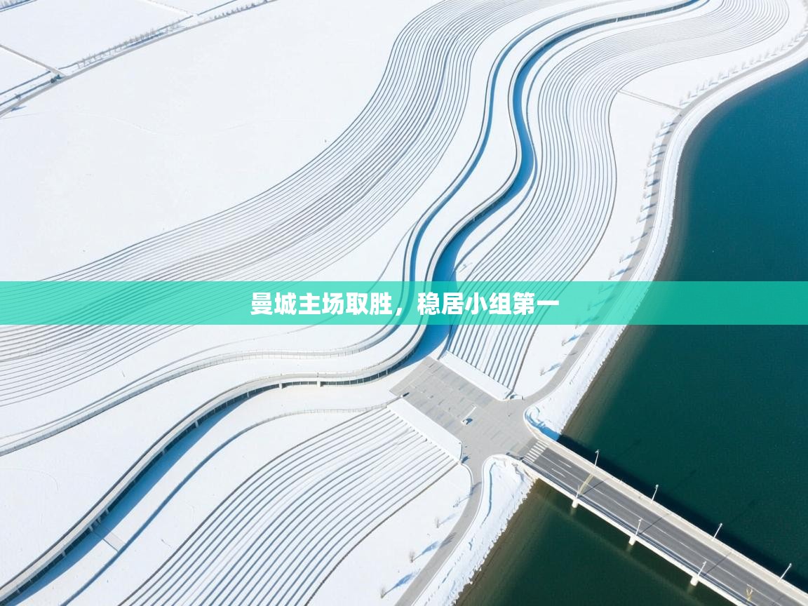 曼城主场取胜，稳居小组第一  第2张